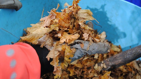 Klein gehäckseltes Herbstlaub in einem Eimer aus Kunststoff
