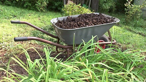 Eine Schubkarre, die mit Pferdeäpfeln gefüllt ist, steht in einem Garten