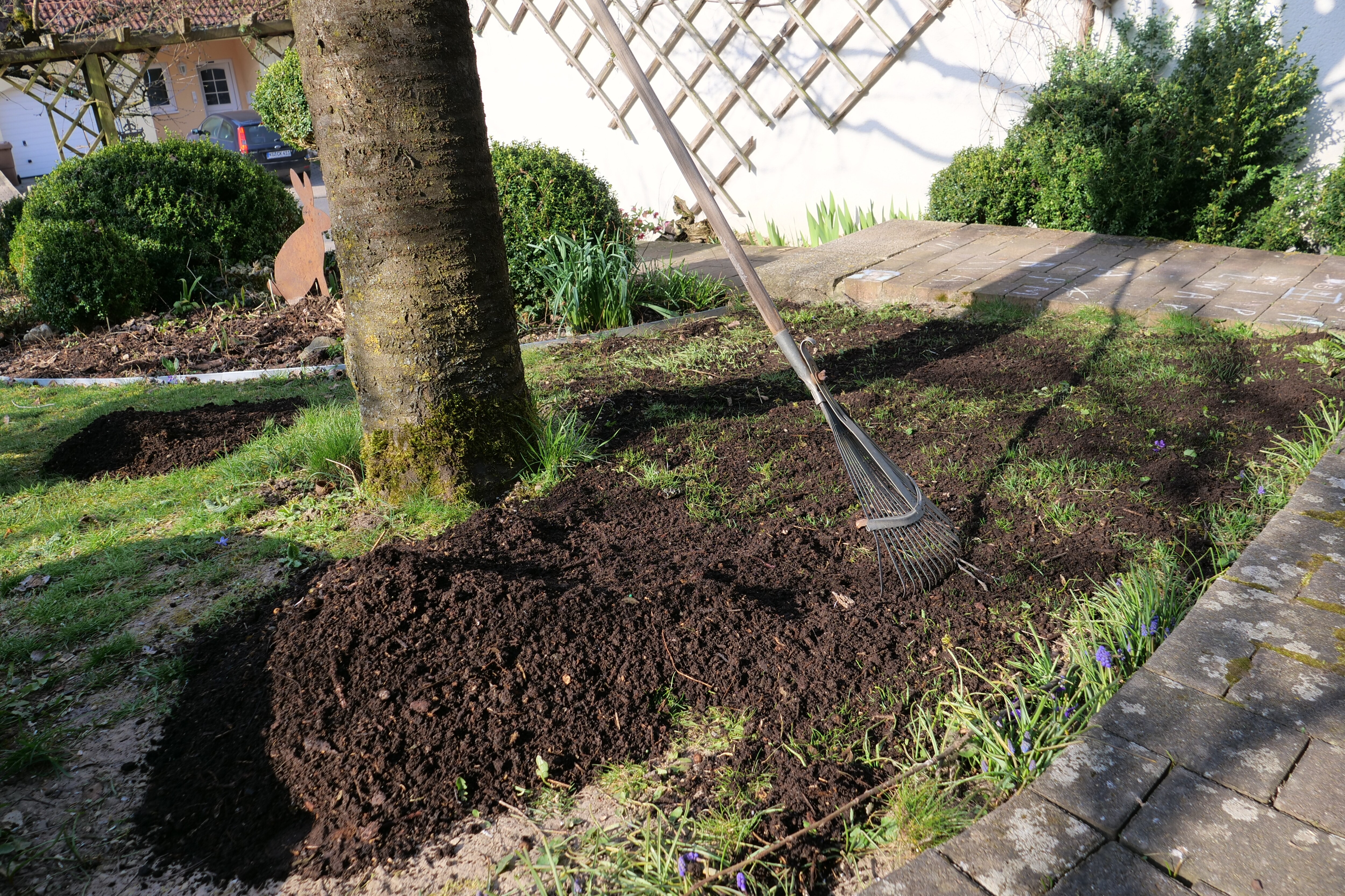 Organischer Dünger: Rasen im Frühling mit Kompost ...