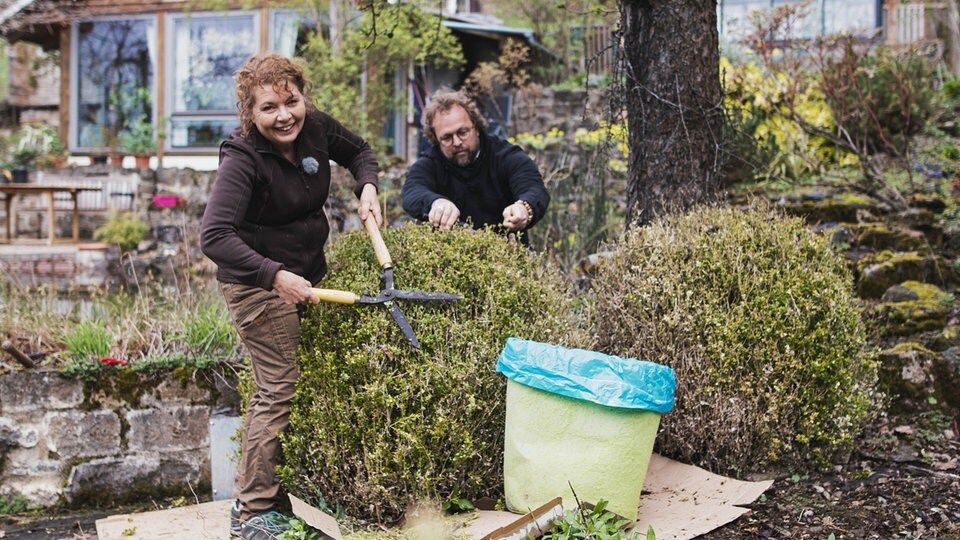 Gartenarbeiten im April Buchsbaumzünsler, Rückschnitte