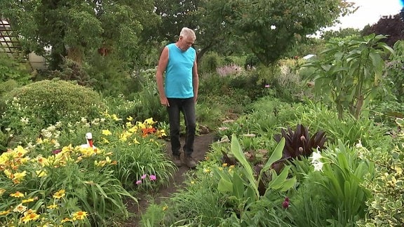 MDR Garten Der GartenRatgeber im MDR FERNSEHEN und im MDR.DE