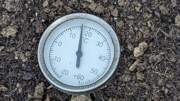 Gewächshaus-Thermometer