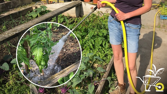 Gärtnerin Antje Lobenstein gießt den Garten.
