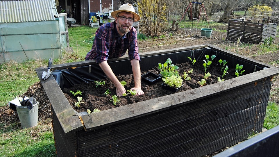 Gemüse-Anbau: Womit Sie im Frühling Ihr Hochbeet bepflanzen können | MDR.DE