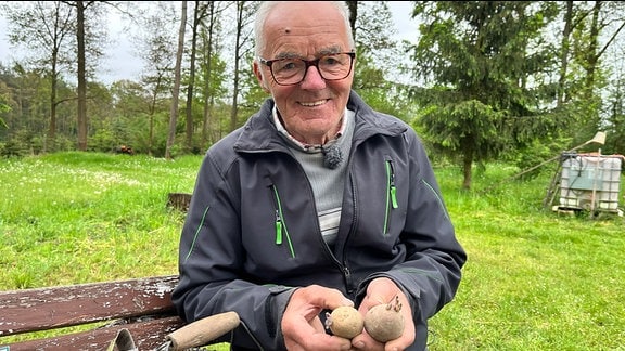 Hobbygärtner Franz Lange baut seine Pflanzkartoffeln mit Schafwolle an. Sein Gemüsegarten liegt in Kotten bei Wittichenau in der Oberlausitz.