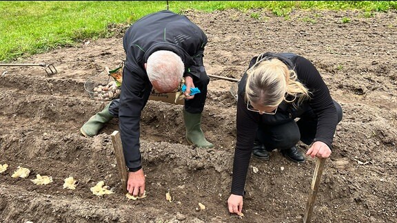 Hobbygärtner Franz Lange beim Kartoffelanbau mit MDR Garten-Moderatorin Diana Fritzsche-Grimmig