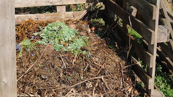 Ein Komposthaufen mit frisch ausgezupftem Unkraut und Strauchschnitt.