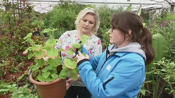 Zwei Frauen begutachten eine Pflanze im Kübel