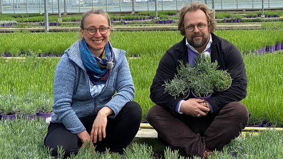 Susan Seidel, Gartenbau-Ingenieurin von der Gärtnerei Helix in Leipzig und Moderator ist Jens Haentzschel inmitten von Lavendel.