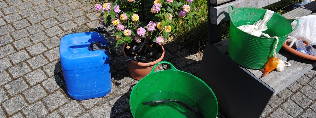 Pflanzen Im Topf Giessen Und Bewassern In Der Urlaubszeit Mdr De