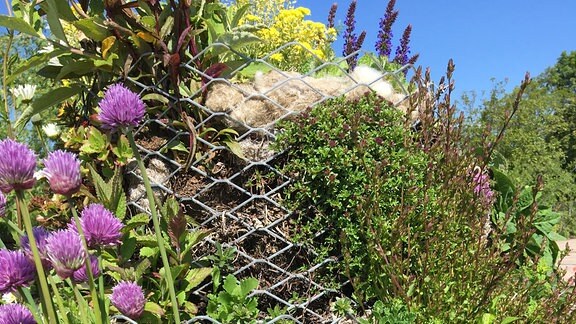 Die Schutzmauern aus den Pflanzkörben werden mit der Zeit komplett von den gepflanzten Blumen überwuchert.
