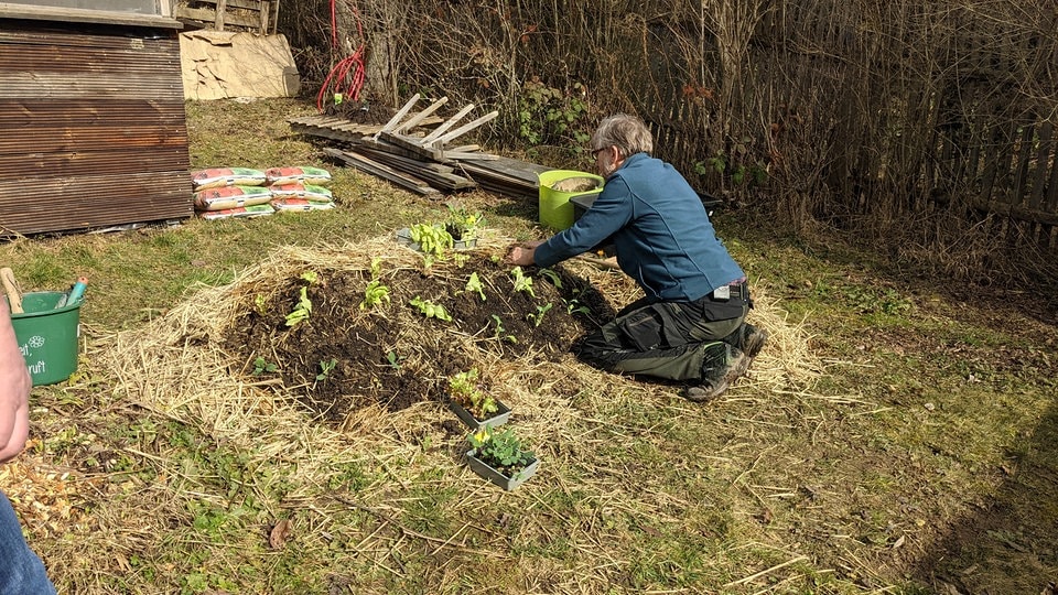 Hügelbeet im Frühjahr bepflanzen MDR.DE