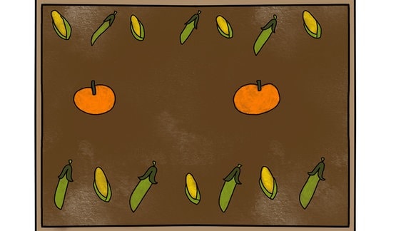 Eine Illustration zeigt ein schwarzes Beet, auf dem gezeichnete Bohnen, Kürbisse und Mais zu sehen sind.