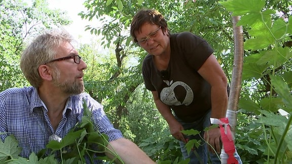 Klingärtner Jörg Heiß und Obstbauexpertin Monika Möhler mit veredeltem Kirschbaum