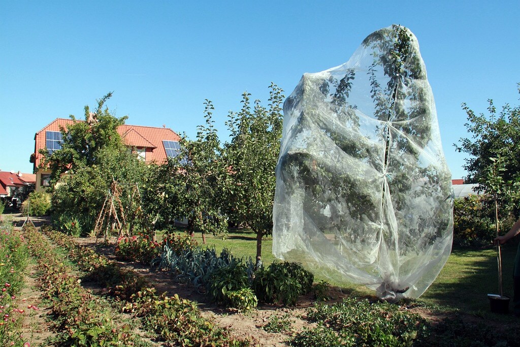 Schutznetz Garten