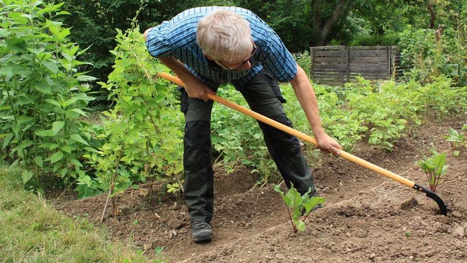 Gartenwerkzeuge Mit dem Sauzahn den Boden gut