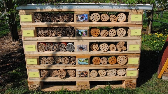 Ein aus sechs übereinander gestapelten Euro-Paletten gebautes, mit verschiedenen Nistmaterialien für Wildbienen bestücktes Bienenhaus steht auf dem Gelände der Lehr- und Versuchsanstalt für Gartenbau in Erfurt