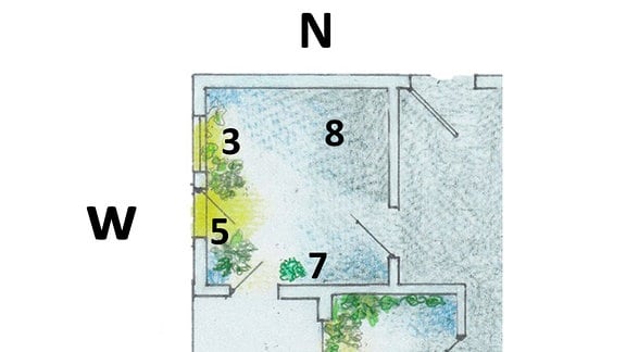 Grafik zu Standorten für Zimmerpflanzen auf Haus-Grundriss