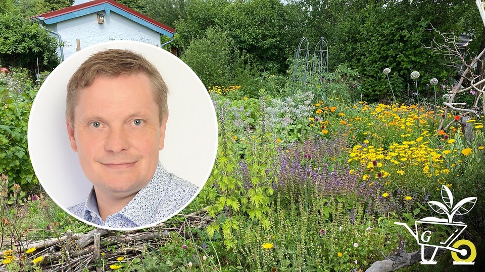 80 Biodiversität Artenvielfalt im Kleingarten MDR.DE