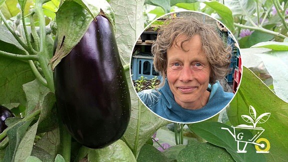 Alle Www meinschönergarten im Blick