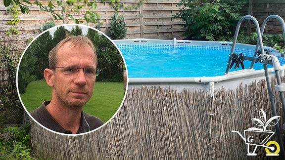 Pool im Garten 