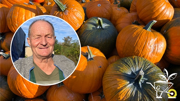 Teaserbild Gartenpodcast: Im Hintergrund sind Kürbisse zu sehen, darüber ist in einem Kreis das Porträt von Kürbisbauer Günther Linzer zu sehen.