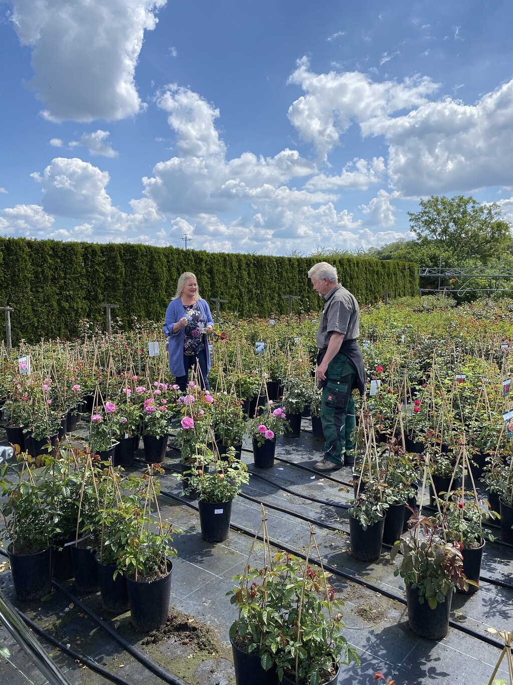 Baum Und Garten Baum Garten Dipl Ing Bettina Mettauer