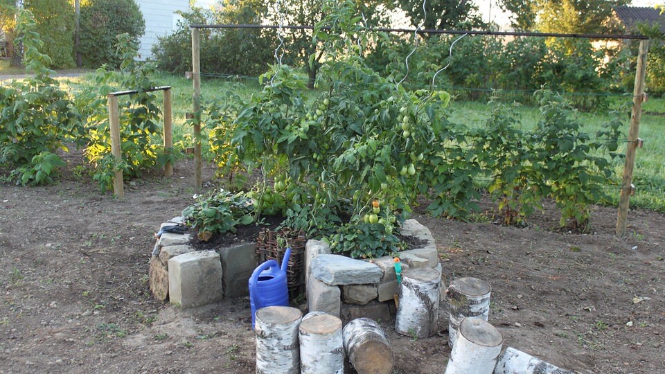 34+ Mdr Garten Permakultur, Was nicht verkauft wird, wird fermentiert.