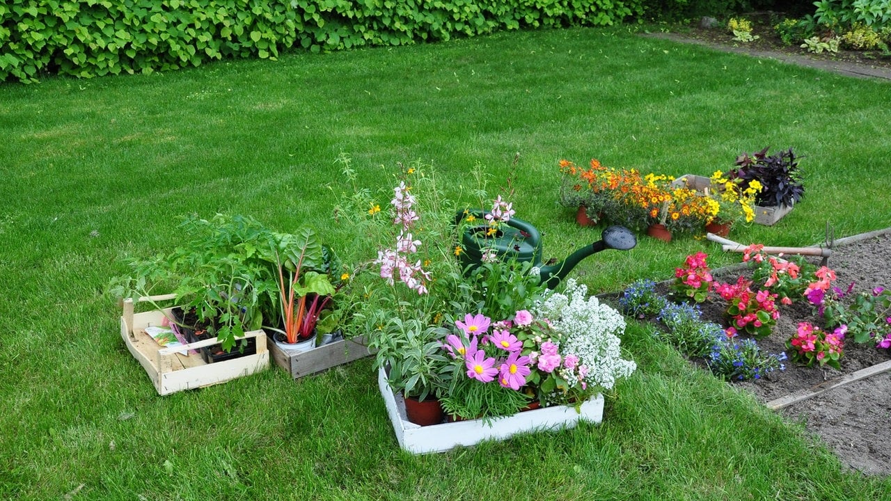 Schaffrath: Gartenliegen für Mußestunden im Freien