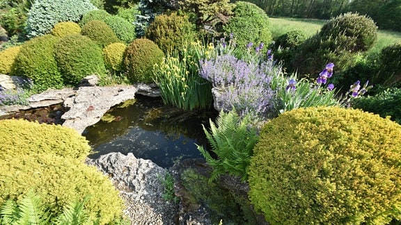 Terassenförmige Wasserachse in einem Garten mit vielen Pflanzen und Felsen, die aus Beton hergestellt sind