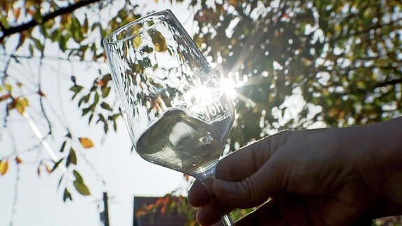 Glas mit Quittenwein im Gegenlicht der Sonne
