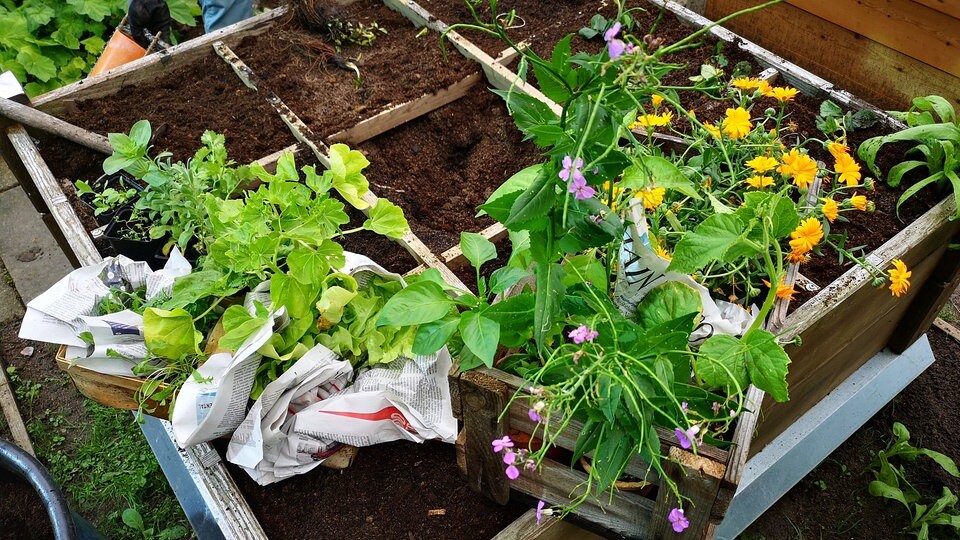 Square Foot Gardening So funktioniert platzsparendes Gärtnern MDR.DE
