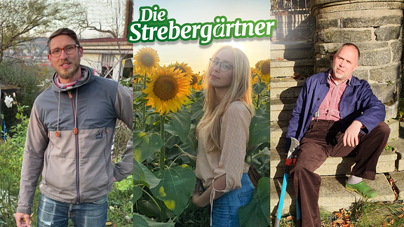 Collage mit den drei Favoriten die sich für die Serie "Die Strebergärtner" beworben haben.