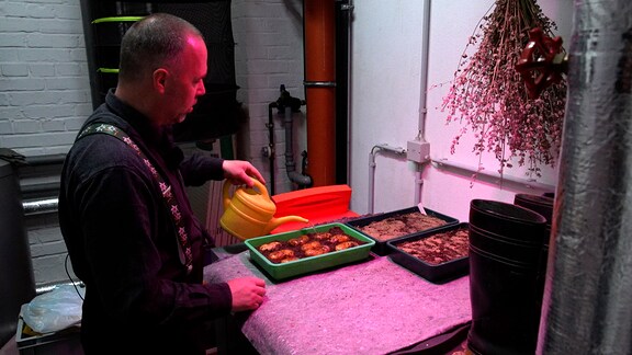 Oliver Richter steht in seinem Keller mit Pflanzenlampen in dem er Kartoffeln vorzieht