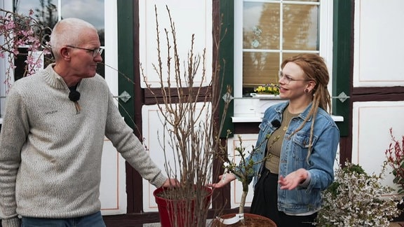 Eon ältere Mann und eine junge Frau unterhalten sich über eine Kübelpflanze.