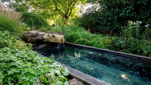 Traumgarten in Schonungen: Ein kleiner Pool in einem Garten inmitten üppiger Pflanzen.