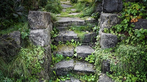 Traumgarten in Saalfeld: Eine üppig bewachsene Treppe aus groben Feldsteinen.