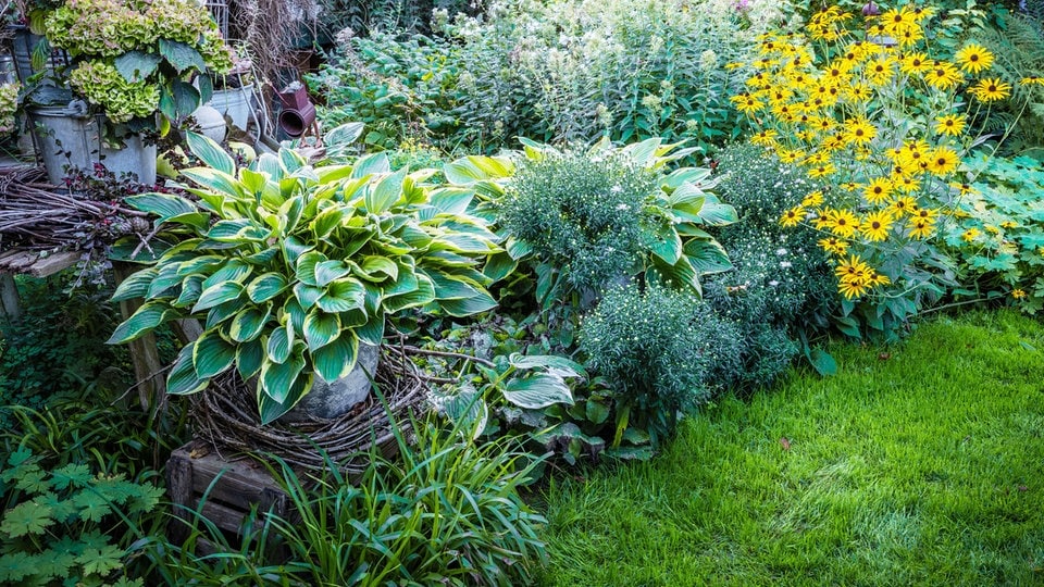 "Traumgärten in Szene gesetzt" Impressionen zur MDR GartenReportage