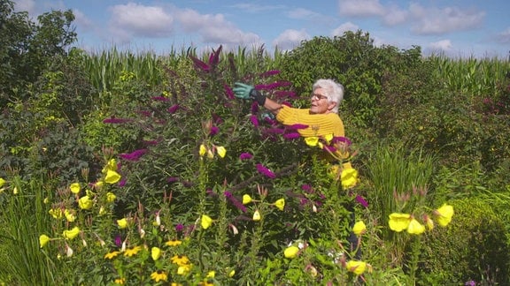 Eine ältere Frau inmitten von Blumen.