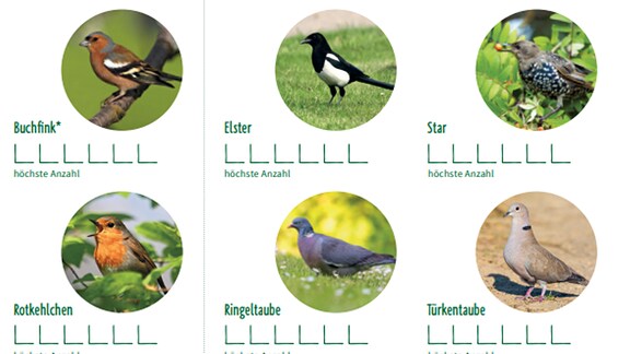 verschiedene Gartenvögel auf einer Liste