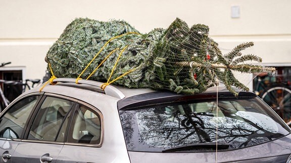Weihnachtsbaum wird auf dem Dach eines Autos transportiert