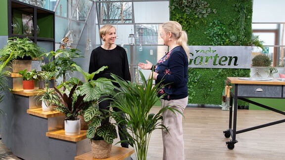 Zimmerpflanzen-Expertin Sonja Dümmen und Moderatorin Diana Fritzsche-Grimmig stehen an einer Treppe, auf der verschiedene Zimmerpflanzen stehen.