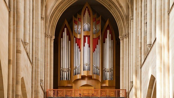 Blick auf die Orgelpfeifen einer sehr großen Orgel in einem Dom