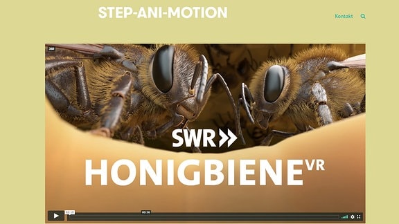 Startseite von Step-Ani-Motion-Honigbiene
