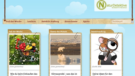 Naturdetektive.de