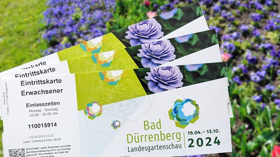 Karten für die Landesgartenschau 2024 in Bad Dürrenberg vor einem Blumenbeet mit Tulpen, Stiefmütterchen, Hornveilchen und anderen Frühblühern