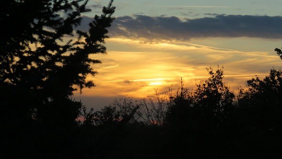 ein Sonnenuntgergang über einem Feld