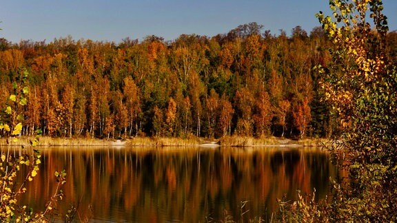 Ein See an einem Wald mit herbstlichen Blätterfarben