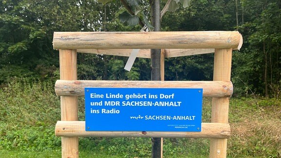 Ein Schild an der Linde in Hüttenrode mit dem Text: Eine Linde gehört ins Dorf und MDR SACHSEN-ANHALT ins Radio. 