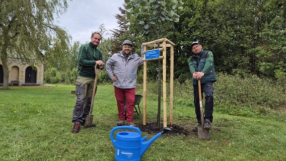 Die Dorflinde steht. Drei Männer stehen um den frisch gepflanzen Baum.